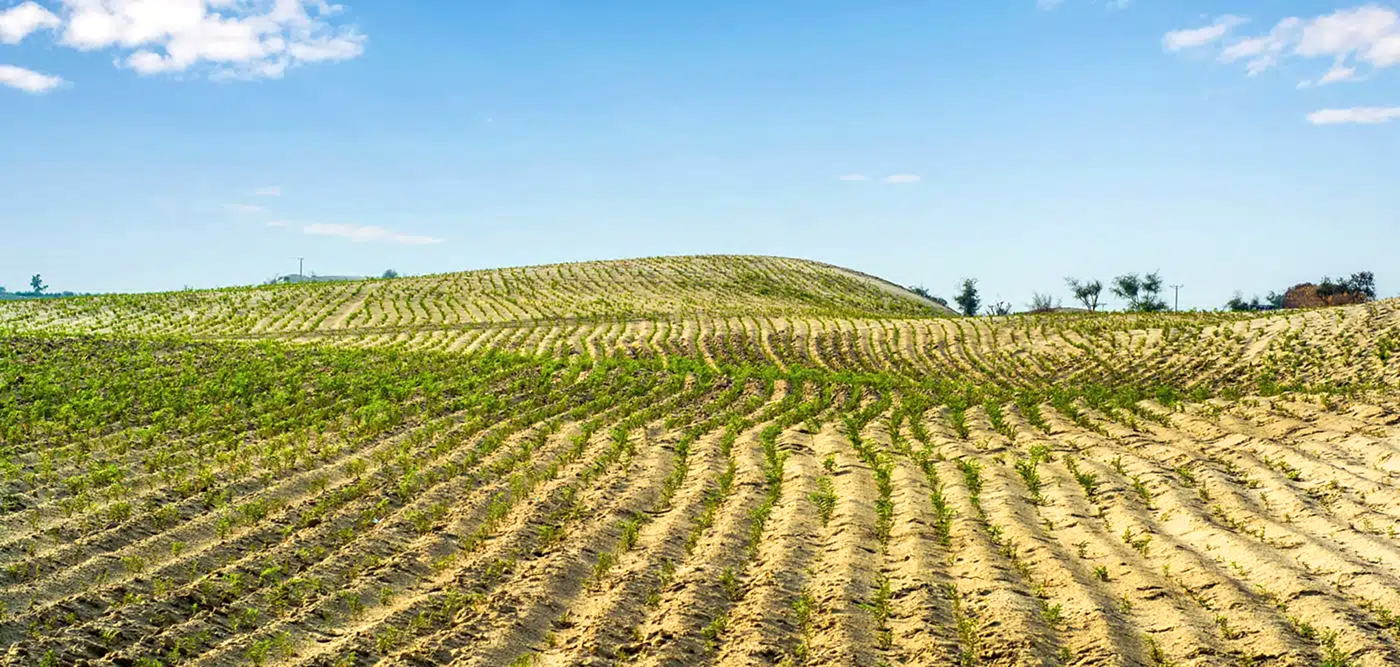 Köy Bazlı Verim Sigortası