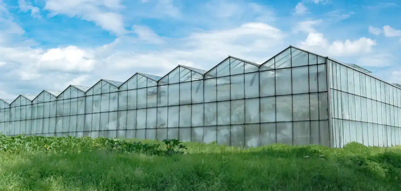 Devlet Destekli Sera Sigortası