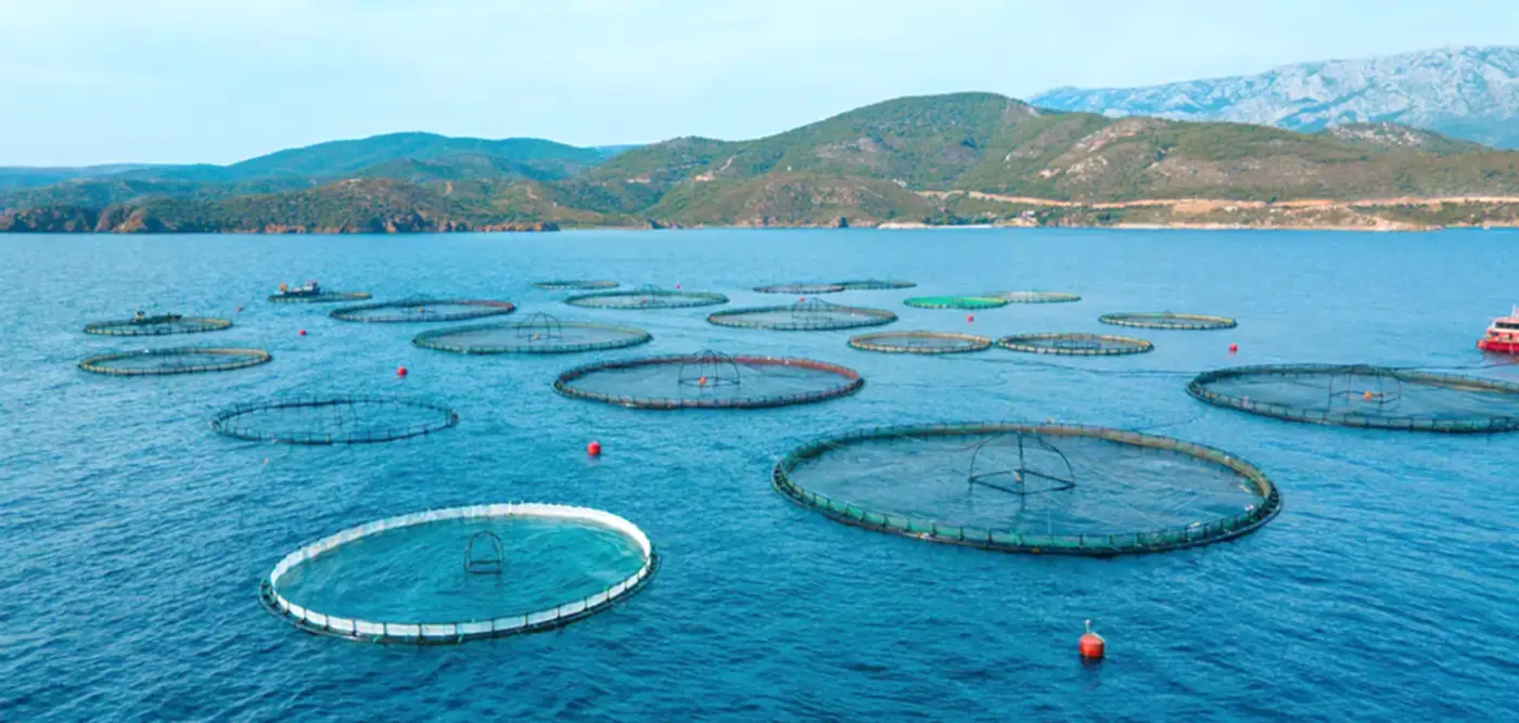 Devlet Destekli Su Ürünleri Sigortası