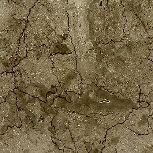 Crema Bella															Beige								 Natural Stone Marble																					