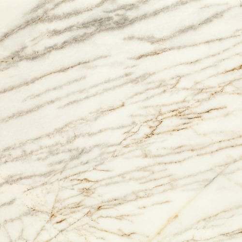 Dolomite Spider															White								 Natural Stone Marble																					