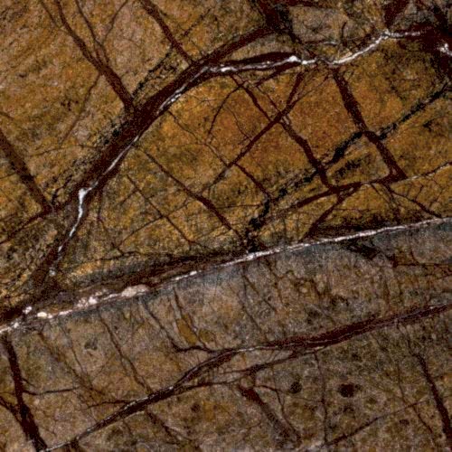 Forest Brown Polished															Exotic ColorsBrown								 Natural Stone Marble																					